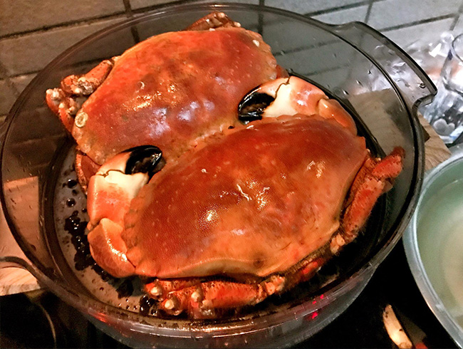 English Bread Crab